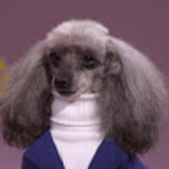 jencfordham
